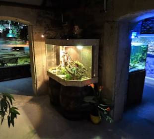 Blick in die Ausstellungsräume des Nautiland