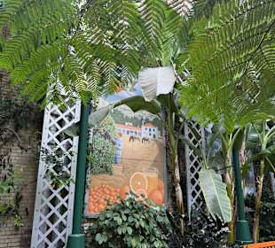 Botanischer Garten in Washington 