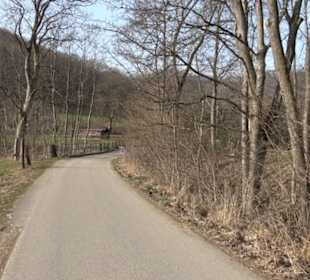 Wasserfallsteig