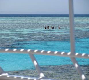 Stehen im roten Meer