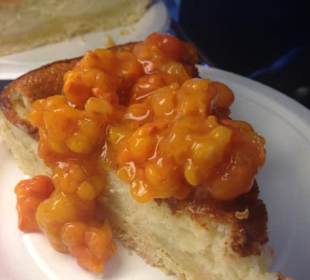 Arctiche moltebeerekuchen
