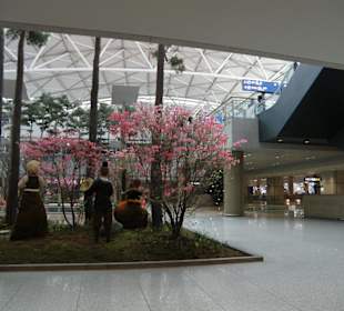 Una parte dell'aeroporto