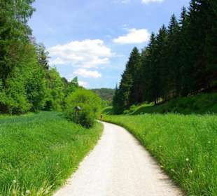 Wanderung zum Bärenfels