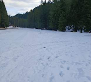 Wandern Mittelberg (Vorarlberg)