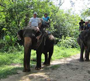 Elefantenreiten bei Jeeptour
