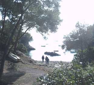 Unterwegs nach Cala Fornells