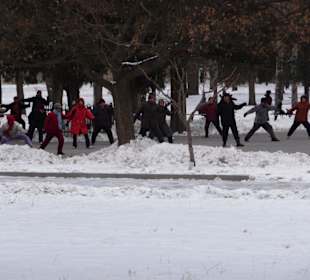 Tai-Chi-Gruppe im Park (Frühsport)