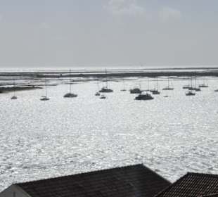 Blick von Kathedrale über Largo de Sé zum Hafen