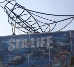 Das Sea-Life