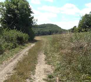 Tour entlang der Traifelbergfelsen