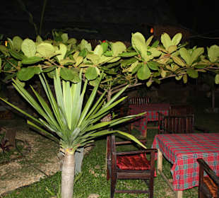 Impressionen bei Nacht