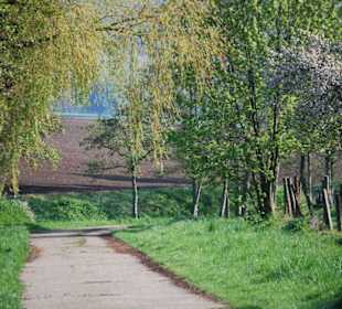 Der Radweg nach Lechstedt