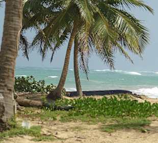 Das Meer hinter der Ranch