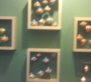 BOMBKARNIA Shop, Warsaw