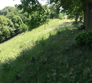 Burg Kräheneck Reusten