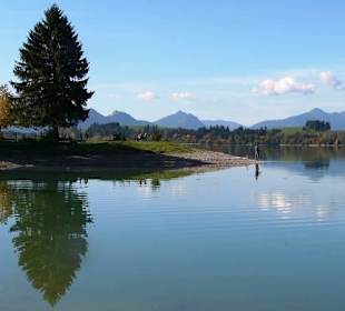 Forggensee