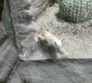 Zoo Brno