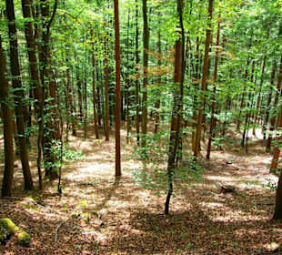 Wanderung zum Bärenfels