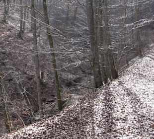 Premiumwanderweg Hohenwittlingensteig
