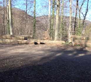 Wandertour Eppenzill