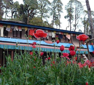 Lodge am Trekkingpfad