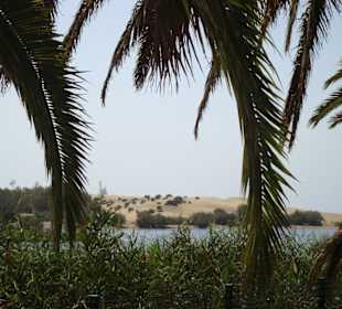 Blick auf den Strand und die Dünen