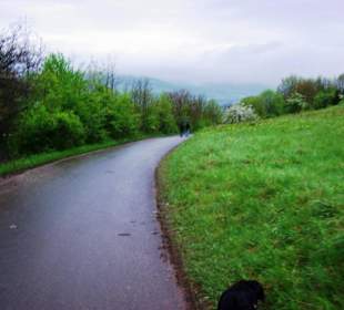 Fußweg nach unten