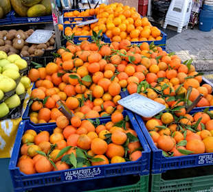 Einkaufsstraße Bulevar de Paguera