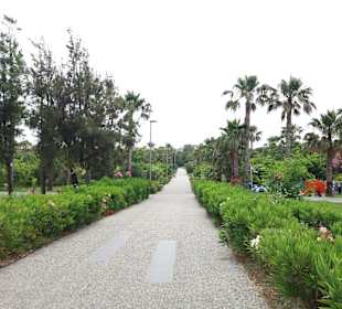 Stadtrundgang Colakli