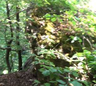 Premiumwanderweg "hochgelegen"