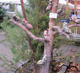 Weihnachtsmarkt Deidesheim