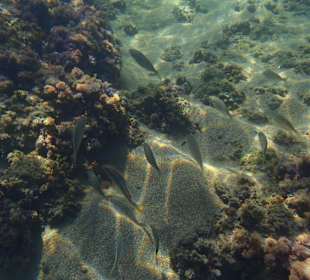 Unterwasser