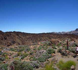 Parque Nacional del Teide