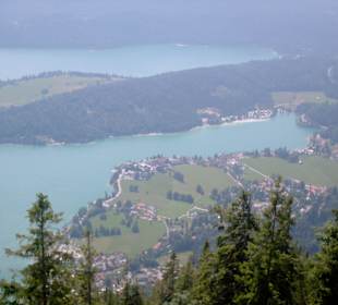 Blick auf den Walchensee