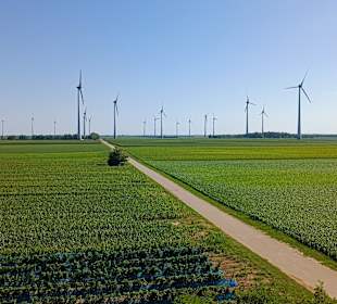 Windräder in Sichtweite
