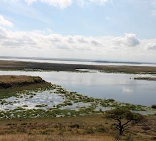 Amboseli Nationalpark