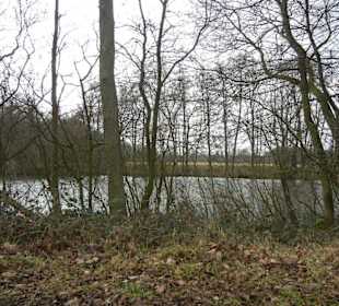 Naturschutzgebiet Boberger Niederung