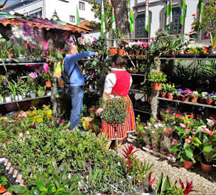 Impressionen vom Blumenfestival in Funchal