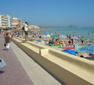 Strand und Mee(h)r