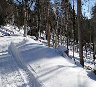 Dorf Herrenschwand, hat nur das Restaurant Waldfrieden