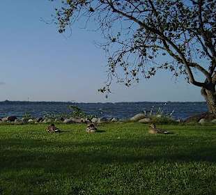 Blick auf das Zwischenahner Meer