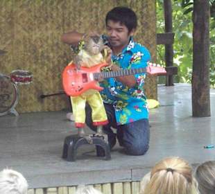 Monkey Show