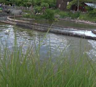 Land der Abenteuer - Dschungel X-pedition