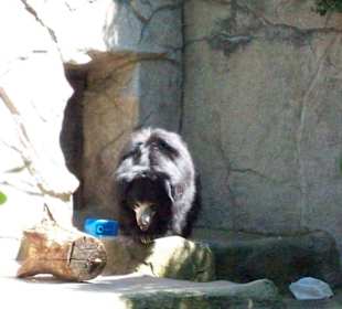 Im Zoo 1