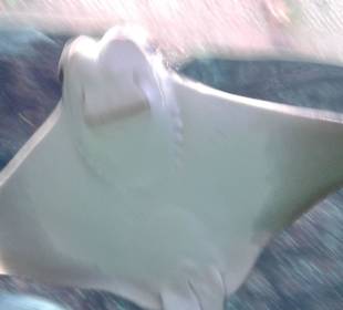 Im Tunnel