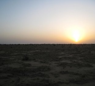 Safari Sonnenuntergang in der Savanne