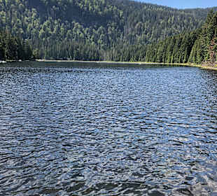 Grosser Arbersee 