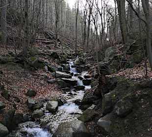 Wandern Thale