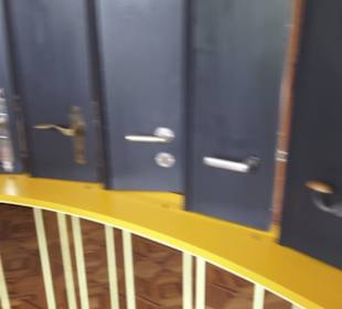 Heimatschutzzentrum in der Villa Patumbah