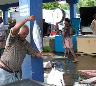 Darf's noch ein Fisch mehr sein